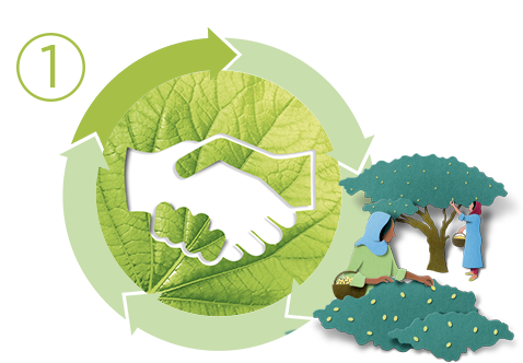 Garnier commits to Sustainable Green Beauty: sustainability through solidarity sourcing